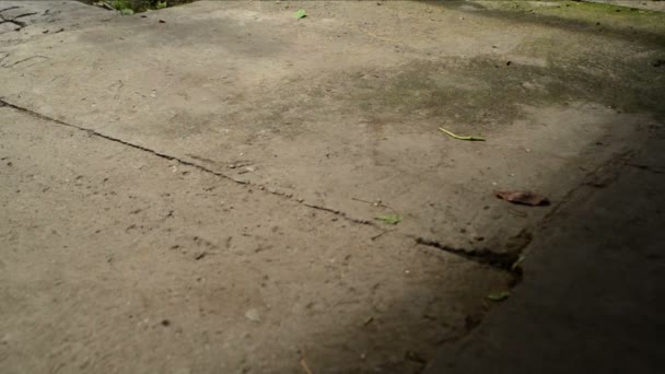 Shadow of a Boy on swing seat — Stock Video