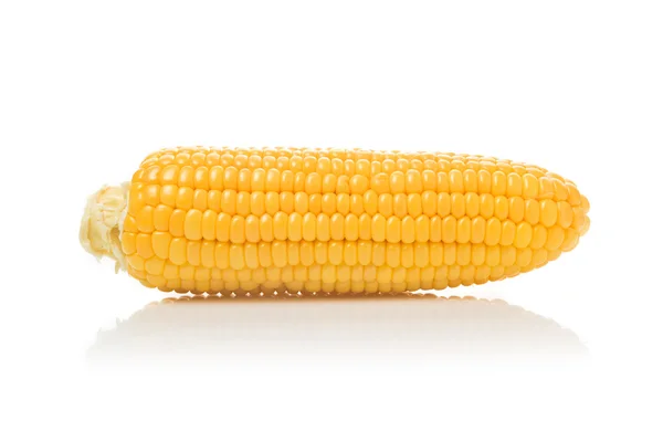 Corn Cob on white background — Stock Photo, Image