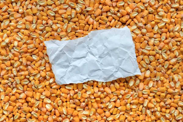 Кусок Скомканной Бумаги Место Копирования Зерна Кукурузы Вид Сверху — стоковое фото