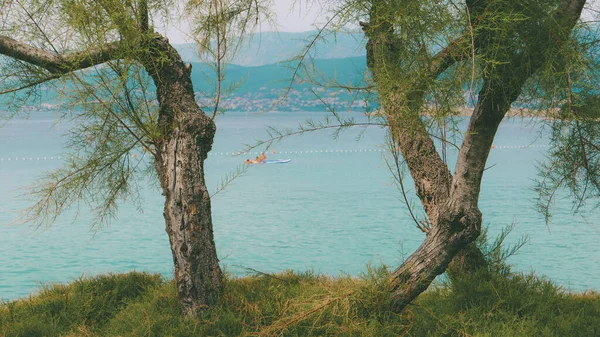 Hırvat Kvarner Körfezindeki Krk Adasındaki Ağaçlar Arka Planda Mavi Deniz — Stok fotoğraf