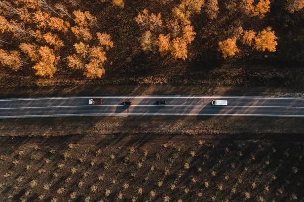 Plano Aéreo Camión Minivan Dos Coches Carretera Través Del Bosque — Foto de Stock