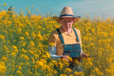 Kolza tohumu tarlasında dijital vergi kaydı için tablet kullanan kadın çiftçi, seçici odaklanma