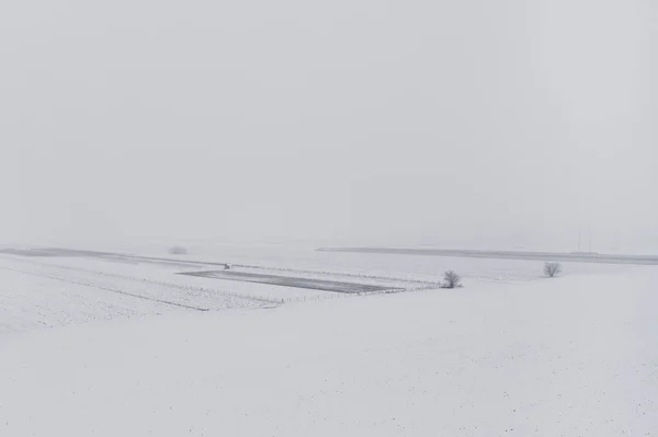 Idyllische Winter Landschap Bedekt Met Sneeuw Koude Mistige Ochtend Luchtfoto — Stockfoto