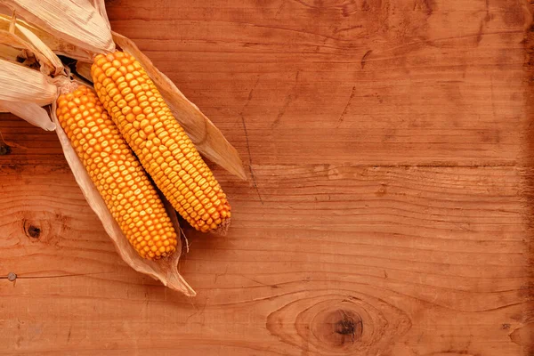 Two Corncobs Rustic Wooden Background Top View Copy Space — Stock Photo, Image