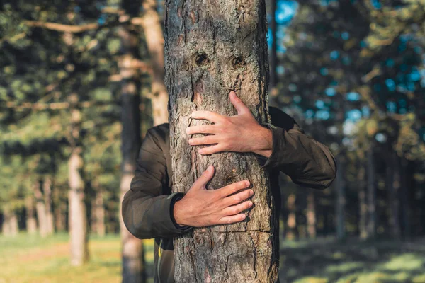 保护科学家拥抱森林中的树黑松 爱护和献身于环境 有选择地关注 — 图库照片