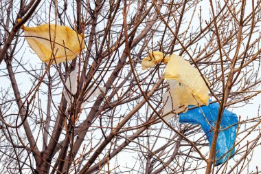Ağaç dallarına, kirliliğe ve çevreye zarar verme konseptine sıkışmış plastik torbalar