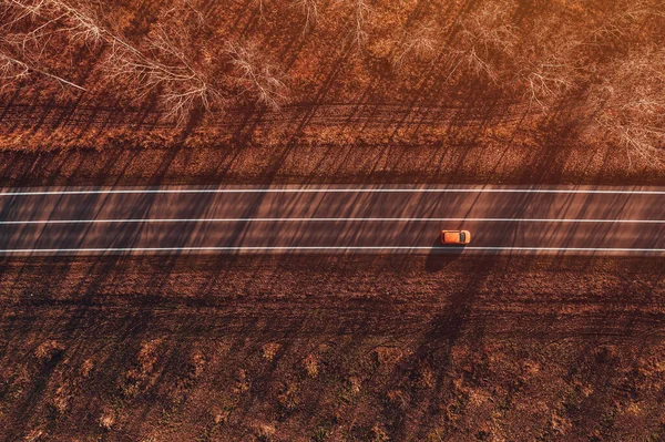 日没の秋の森をドライブするオレンジ色の自動車のトップダウンドローン写真 — ストック写真