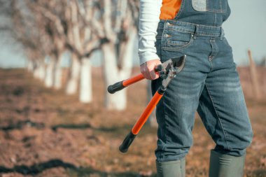 Teleskopik mandallı baypas kesicisiyle poz veren kadın çiftçi ceviz bahçesinde güneşli bahar gününde budanmaya hazır.