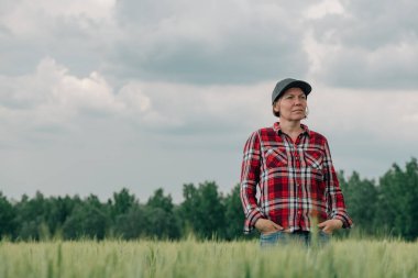 Kendine güvenen kadın çiftçi tarımcı ekili buğday tarlasında poz veriyor, çiftliğe bakıyor.