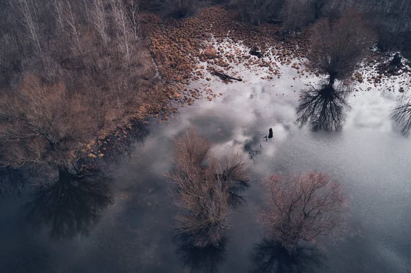 Floodplain Wooded Area Drone Pov Winter Afternoon — Stock Photo, Image