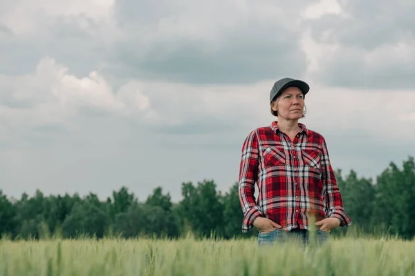 栽培された小麦の作物の農業分野でポーズをとっている自信のある女性農家の農学者は プランテーションを見下ろす — ストック写真
