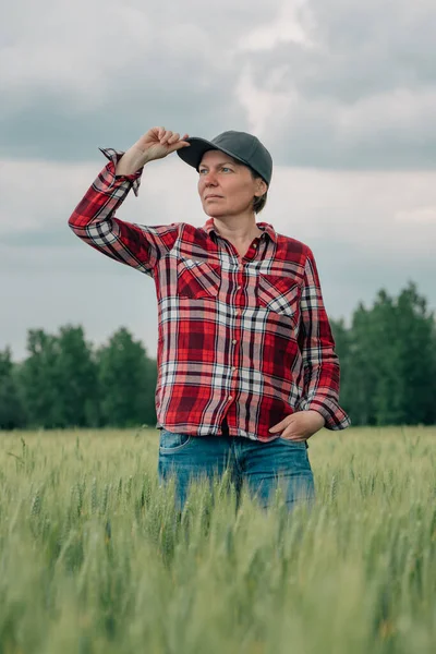 Agrónoma Agricultora Responsable Trigo Mirando Campo Agrícola Cultivos Cereales Cultivados —  Fotos de Stock