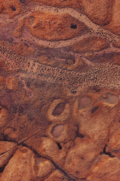 Översvämmat Våtmarkslandskap Solig Hösteftermiddag Flygskott Från Drönarpov Fantastisk Natur Från — Stockfoto