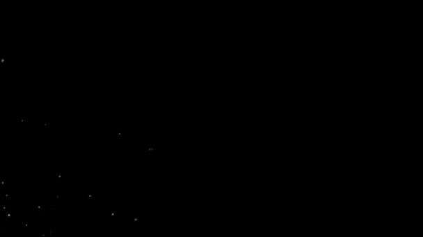 Small White Particles Black Background Moving Randomly Floating Breeze Air — Vídeo de Stock