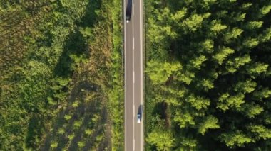 Yeşil kırsal arazide, kavak ağacından ağaçlarla kaplı, tam üstte iki aracın yan yana geçişini gösteren insansız hava aracı görüntüsü.