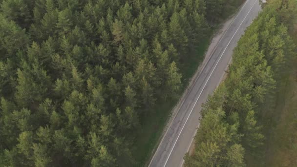 Autó Teherautó Úton Fenyőerdőn Keresztül Alkonyatkor Légi Kilátás Drón Pov — Stock videók