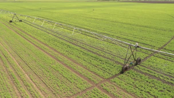 センターピボット灌漑設備の空中ビューは 農場のプランテーションで緑大豆苗を散水 ドローンのPovトップビューの映像 — ストック動画