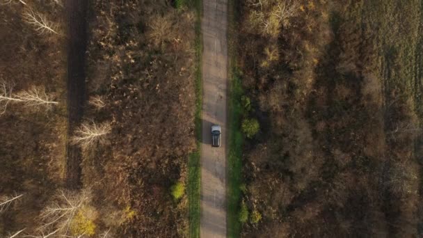 Top View Aerial Footage Car Road Forest Autumn Drone Footage — Video Stock