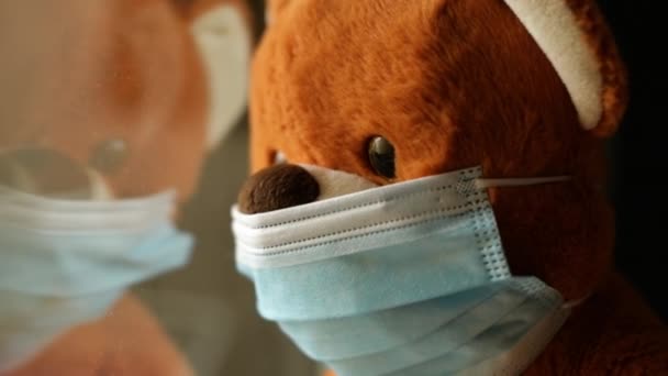 禽流感爆发期间 带有面具的熊玩具从自我隔离的家庭隔离窗口向外张望 — 图库视频影像