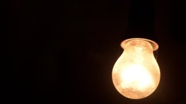 Incandescent light bulb in dark, spooky horror scene with copy space