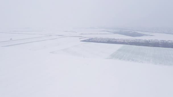 Idyllic Winter Countryside Landscape Covered Snow Cold Foggy Morning Aerial — Wideo stockowe