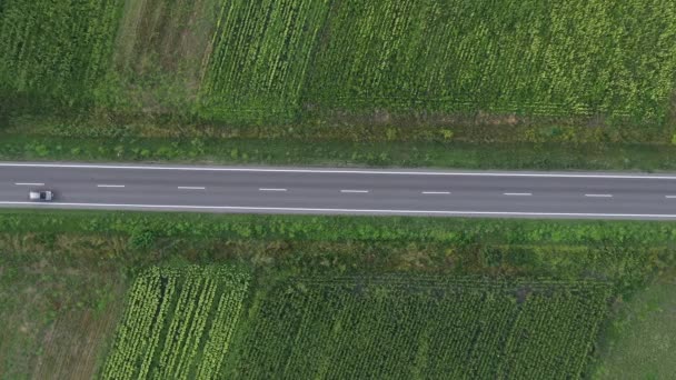 Drone Pov Aerial Shot Grey Car Road Countryside Landscape Top — ストック動画