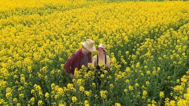 Çiftçinin Hava Görüntüsü Erkek Kadın Çiçek Açan Kolza Tarlasında Çalışıyorlar — Stok video