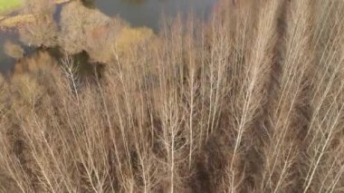 Drone Pov 'dan eski dolambaçlı ve dolambaçlı Tisza Nehri manzaralı. Sırbistan 'ın Voyvodina kentinde bataklık manzarası.