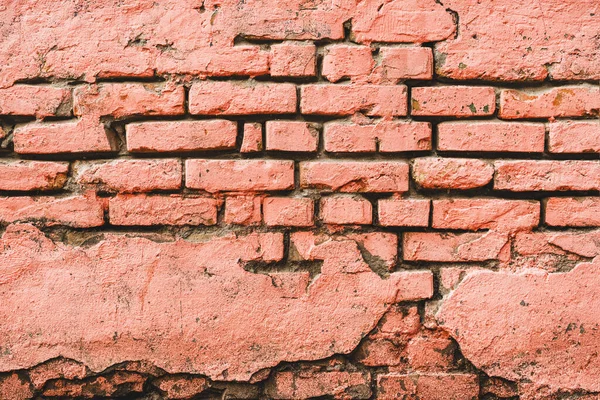 Coral Pink Painted Old Brick Wall Background Grunge Timeworn Texture — Stock Photo, Image