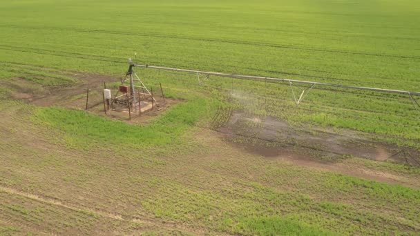 中央ピボット灌漑装置の空中ビューは 農場のプランテーションで緑大豆苗を散水 ドローンのPov映像 — ストック動画