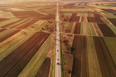 Aerial view of cars on the road and picturesque rural scenery in autumn afternoon, drone photography