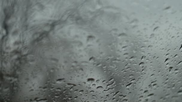雨の秋の日に車のフロントガラスの雨滴 選択的フォーカス — ストック動画