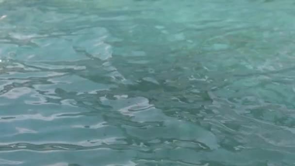 Slow Motion Footage Pool Water Surface Tranquil Peaceful Background — Stok Video