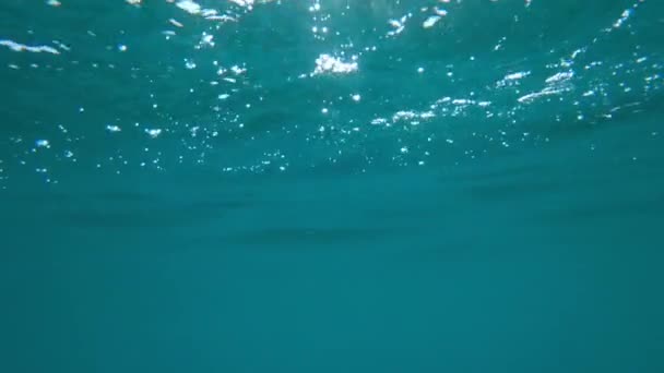 Underwater Shot Clean Ocean Water Sunlight Beaming Surface Bubbles Foam — Stock video