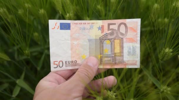 Έννοια Κέρδους Καλλιέργειας Σίτου Γεωργός Που Κατέχει Τραπεζογραμμάτια Ευρώ Καλλιεργούμενο — Αρχείο Βίντεο