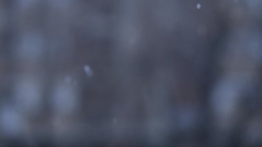 Slow motion of white snowflakes falling in winter with bokeh background, selective focus