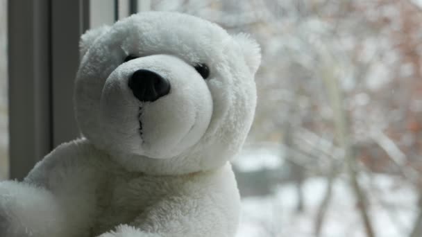Teddybär Spielzeug Lehnt Fenster Während Draußen Der Schnee Fällt Selektiver — Stockvideo
