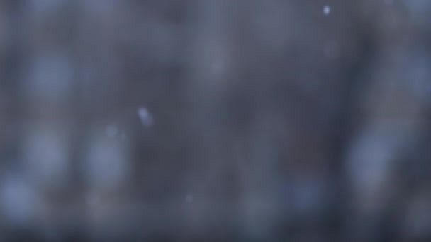 Slow Motion White Snowflakes Falling Winter Bokeh Background Selective Focus — ストック動画