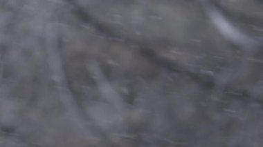 Snowing in winter, chaotic snowflakes and defocussed tree branches in background, vertical shot with selective focus