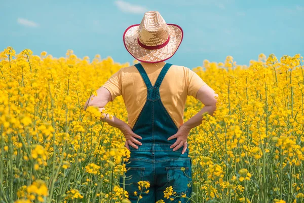 Bakifrån Kvinnlig Bonde Agronomen Står Blommande Rapsplantage Tittar Över Grödor — Stockfoto