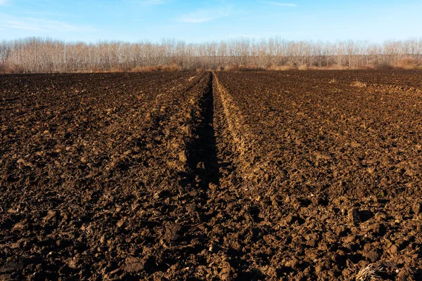 Plowed Agricultural Field Diminishing Perspective Selective Focus — Stock Photo, Image