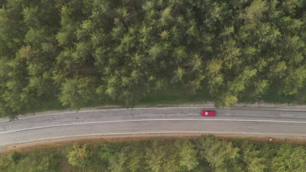 Pohled Shora Auta Projíždějící Lesem Srbském Zlatiboru Letecký Pohled Drone — Stock video