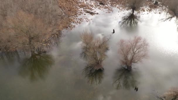 Zona Boscosa Llanura Inundable Desde Punto Vista Drones Invierno Por — Vídeos de Stock