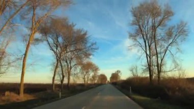 Aracın kamera kamerası, güneşli bir sonbahar öğleden sonrasında kırsal alanda araba sürerken, Sırp yolunda araba sürerken çekilmiş.