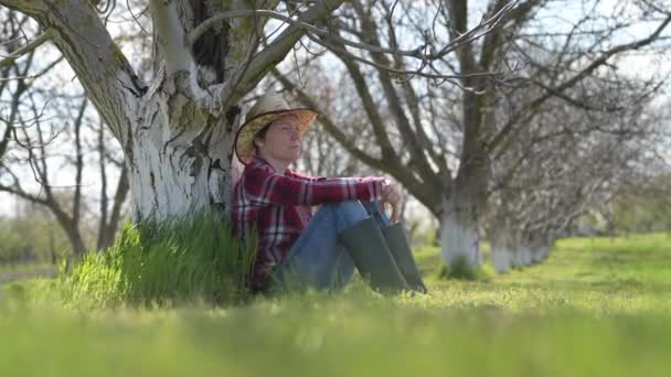 春に果物の木の下に座って 有機クルミの果樹園でリラックスして休んでいる女性農家 選択的な焦点 — ストック動画