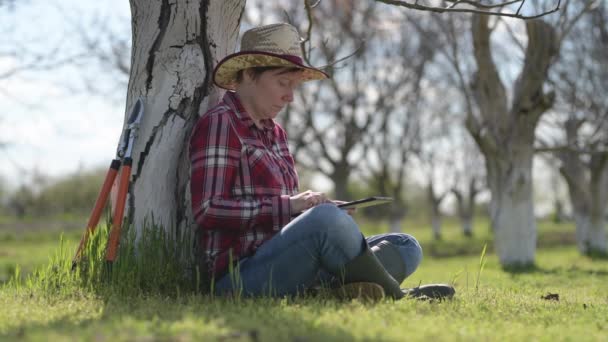 Agricultora Feminina Usando Computador Tablet Digital Pomar Nogueira Inglês Tecnologia — Vídeo de Stock