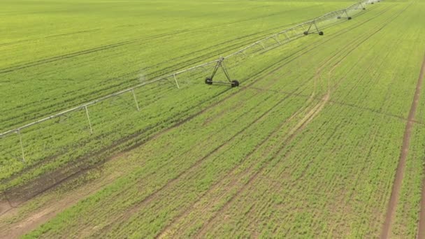 Aerial View Center Pivot Irrigation Equipment Watering Green Soybean Seedlings — Stock Video