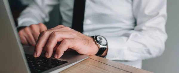 Data Entry Operator Working Laptop Computer Business Office Panoramic Image — Stock Photo, Image