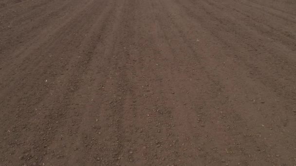 バックグラウンドとしての視点で耕された土壌 ドローンのPovからの空中ショット 播種シーズンの準備ができている土地 — ストック動画