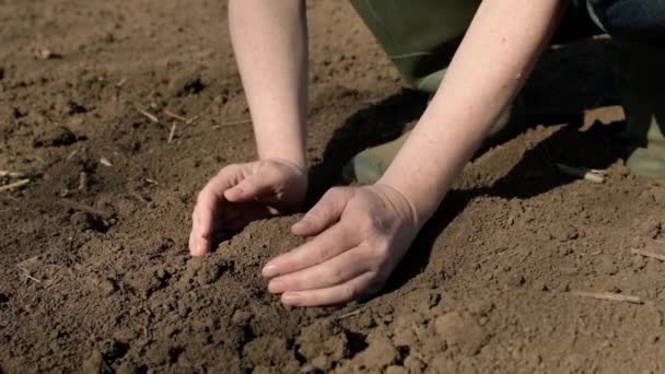 Ręce Samicy Rolnika Pełne Świeżo Zaoranej Żyznej Ziemi Spowolnione Tempo — Wideo stockowe